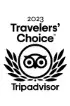 tripadvisor traveler choice award